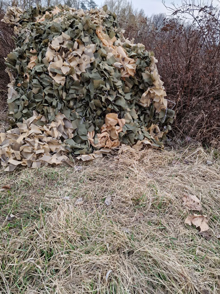 Невтомні павучихи